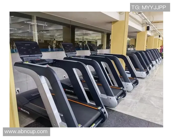 迈宝赫健身器材价格分析：如何选择性价比高的器材？