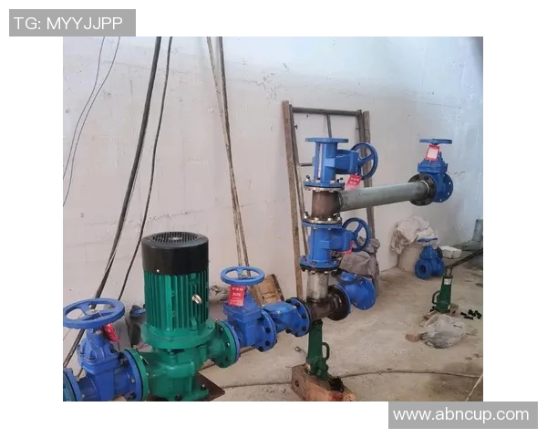 水管阀门的选择与维护技巧及其在家庭水系统中的重要性解析